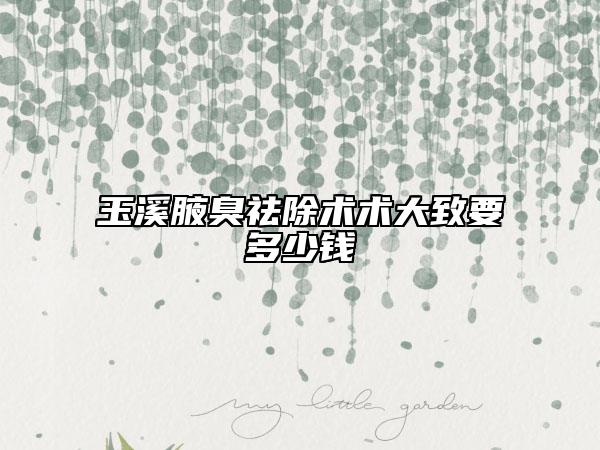 玉溪腋臭祛除术术大致要多少钱