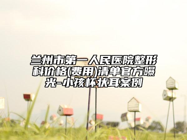 兰州市第一人民医院整形科价格(费用)清单官方曝光-小孩杯状耳案例