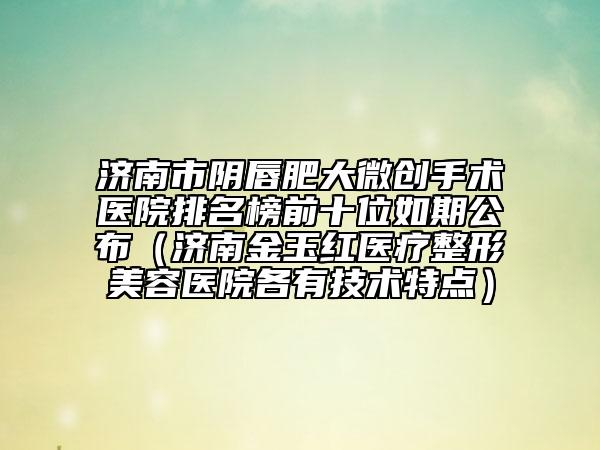 济南市阴唇肥大微创手术医院排名榜前十位如期公布（济南金玉红医疗整形美容医院各有技术特点）