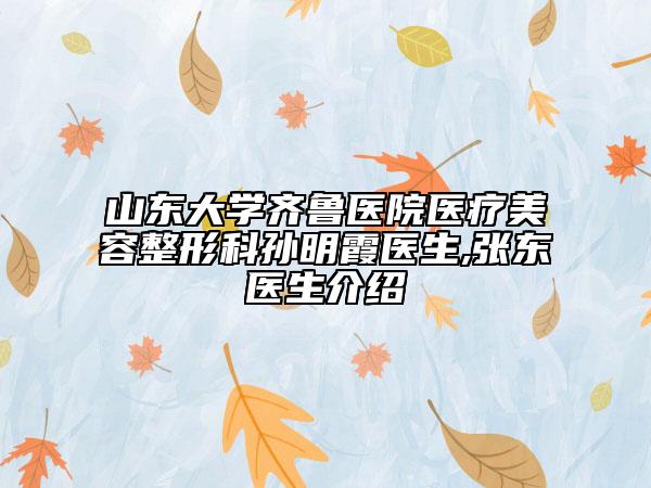山东大学齐鲁医院医疗美容整形科孙明霞医生,张东医生介绍