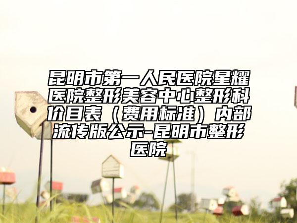 昆明市第一人民医院星耀医院整形美容中心整形科价目表（费用标准）内部流传版公示-昆明市整形医院