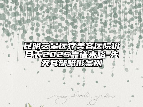 昆明艺星医疗美容医院价目表2025靠谱来咯-先天耳部畸形案例