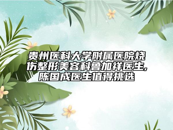 贵州医科大学附属医院烧伤整形美容科鲁加祥医生,陈国成医生值得挑选