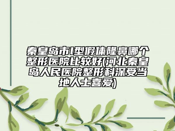 秦皇岛市l型假体隆鼻哪个整形医院比较好(河北秦皇岛人民医院整形科深受当地人士喜爱)