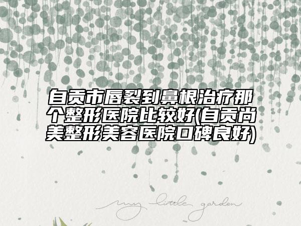自贡市唇裂到鼻根治疗那个整形医院比较好(自贡尚美整形美容医院口碑良好)