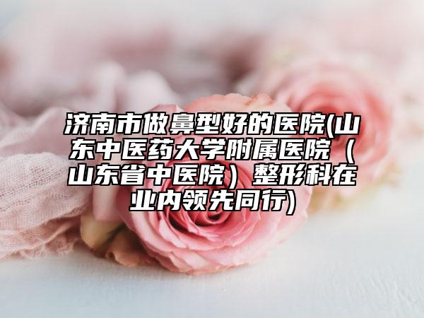济南市做鼻型好的医院(山东中医药大学附属医院（山东省中医院）整形科在业内领先同行)
