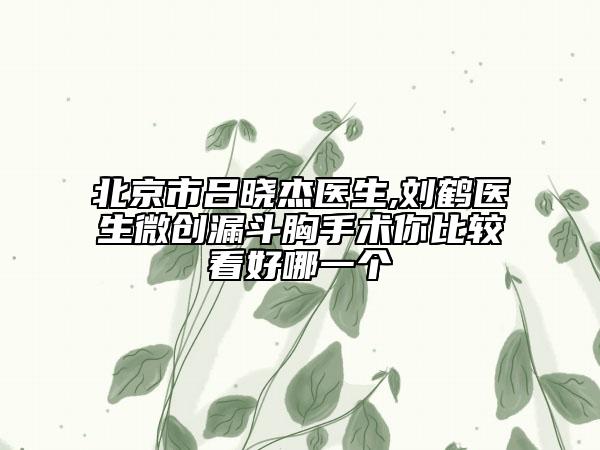 北京市吕晓杰医生,刘鹤医生微创漏斗胸手术你比较看好哪一个