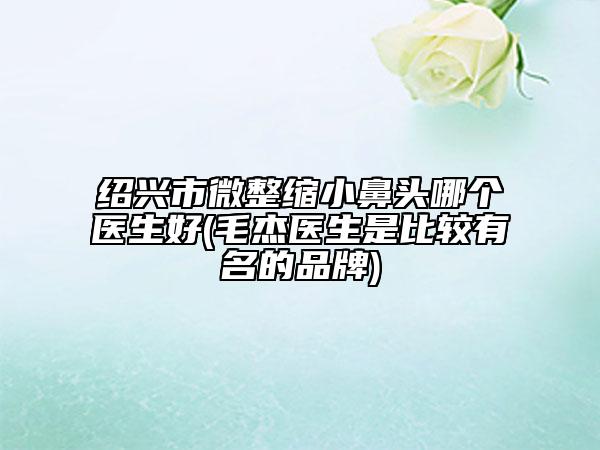 绍兴市微整缩小鼻头哪个医生好(毛杰医生是比较有名的品牌)