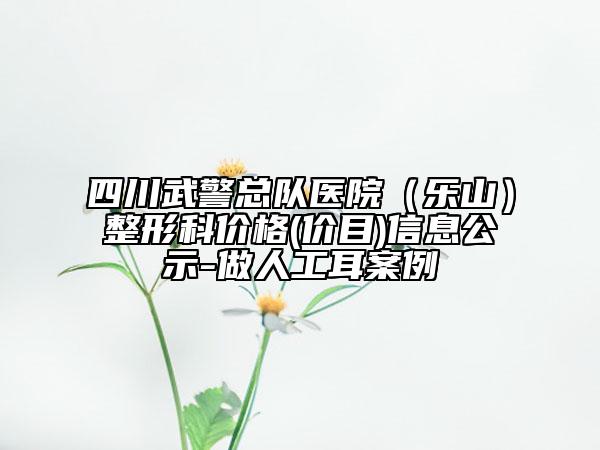 四川武警总队医院（乐山）整形科价格(价目)信息公示-做人工耳案例