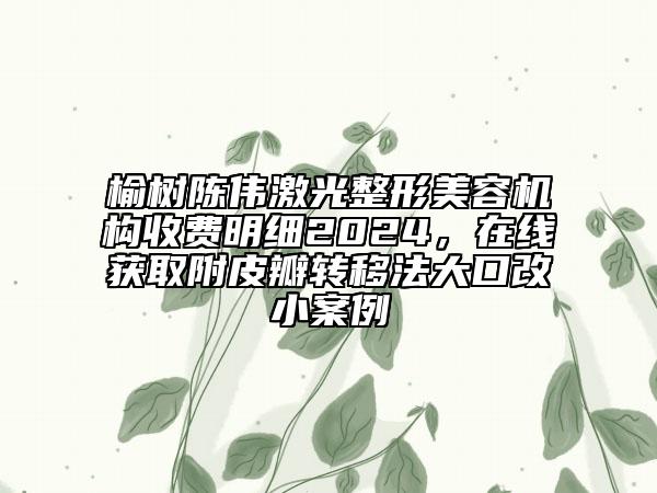 榆树陈伟激光整形美容机构收费明细2024，在线获取附皮瓣转移法大口改小案例