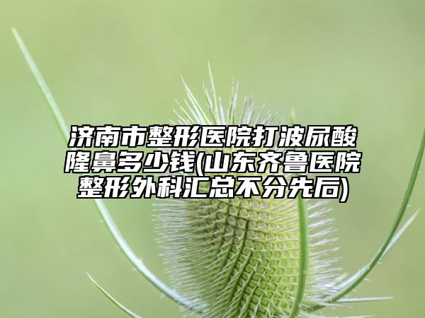 济南市整形医院打波尿酸隆鼻多少钱(山东齐鲁医院整形外科汇总不分先后)
