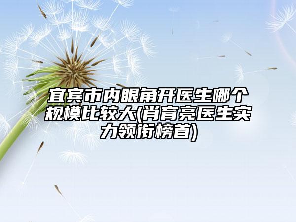 宜宾市内眼角开医生哪个规模比较大(肖育亮医生实力领衔榜首)