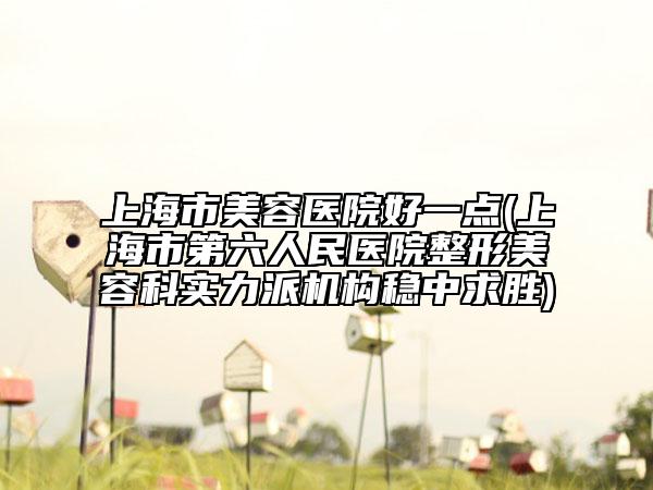 上海市美容医院好一点(上海市第六人民医院整形美容科实力派机构稳中求胜)