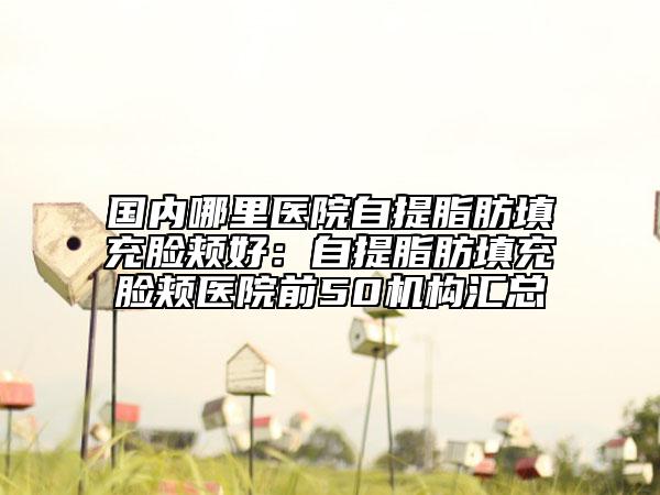国内哪里医院自提脂肪填充脸颊好：自提脂肪填充脸颊医院前50机构汇总