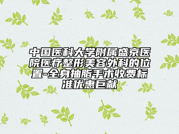 中国医科大学附属盛京医院医疗整形美容外科的位置-全身抽脂手术收费标准优惠巨献