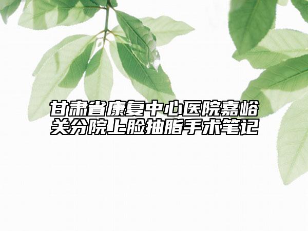 甘肃省康复中心医院嘉峪关分院上脸抽脂手术笔记