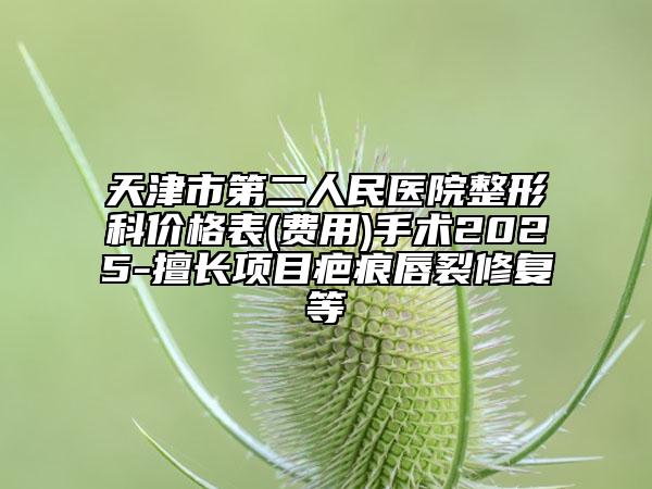 天津市第二人民医院整形科价格表(费用)手术2025-擅长项目疤痕唇裂修复等