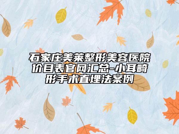 石家庄美莱整形美容医院价目表官网汇总-小耳畸形手术直埋法案例