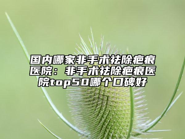 国内哪家非手术祛除疤痕医院：非手术祛除疤痕医院top50哪个口碑好