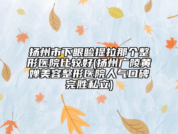 扬州市下眼睑提拉那个整形医院比较好(扬州广陵黄婵美容整形医院人气口碑完胜私立)