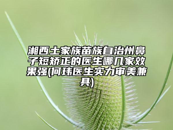 湘西土家族苗族自治州鼻子短矫正的医生哪几家效果强(何玮医生实力审美兼具)