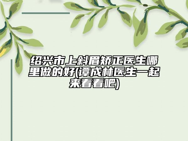绍兴市上斜眉矫正医生哪里做的好(谭成林医生一起来看看吧)
