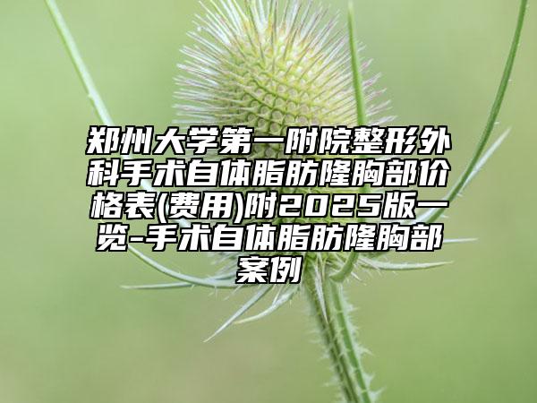 郑州大学第一附院整形外科手术自体脂肪隆胸部价格表(费用)附2025版一览-手术自体脂肪隆胸部案例