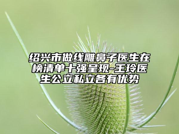绍兴市做线雕鼻子医生在榜清单十强呈现-王玲医生公立私立各有优势