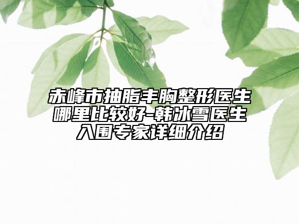 赤峰市抽脂丰胸整形医生哪里比较好-韩冰雪医生入围专家详细介绍