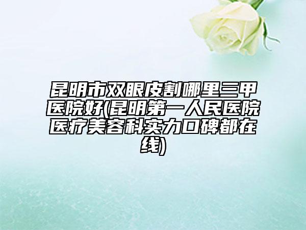 昆明市双眼皮割哪里三甲医院好(昆明第一人民医院医疗美容科实力口碑都在线)