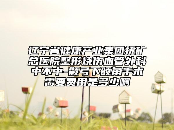 辽宁省健康产业集团抚矿总医院整形烧伤血管外科中不中-颧弓下颌角手术需要费用是多少啊