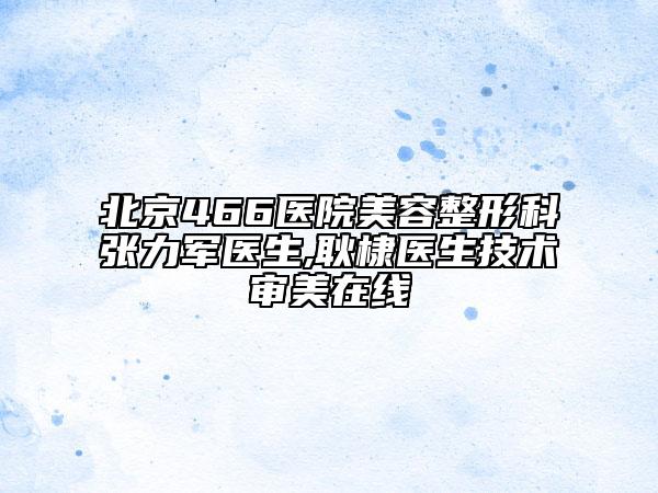 北京466医院美容整形科张力军医生,耿棣医生技术审美在线