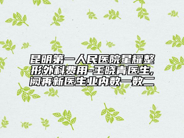 昆明第一人民医院星耀整形外科费用-王晓青医生,阙再新医生业内数一数二