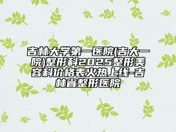吉林大学第一医院(吉大一院)整形科2025整形美容科价格表火热上线-吉林省整形医院