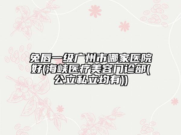 兔唇一级广州市哪家医院好(海峡医疗美容门诊部(公立私立均有))