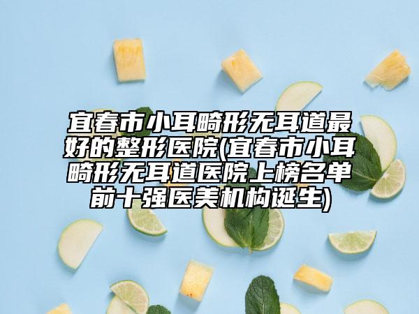 宜春市小耳畸形无耳道最好的整形医院(宜春市小耳畸形无耳道医院上榜名单前十强医美机构诞生)