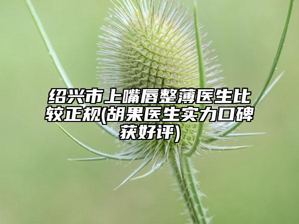 绍兴市上嘴唇整薄医生比较正规(胡果医生实力口碑获好评)