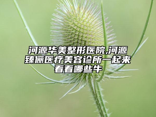 河源华美整形医院,河源臻俪医疗美容诊所一起来看看哪些牛
