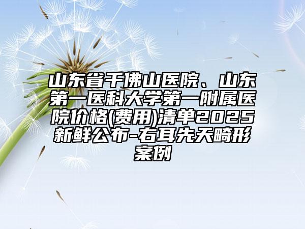 山东省千佛山医院、山东第一医科大学第一附属医院价格(费用)清单2025新鲜公布-右耳先天畸形案例