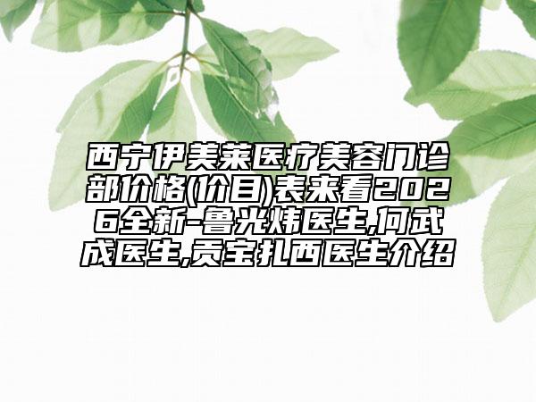 西宁伊美莱医疗美容门诊部价格(价目)表来看2026全新-鲁光炜医生,何武成医生,贡宝扎西医生介绍