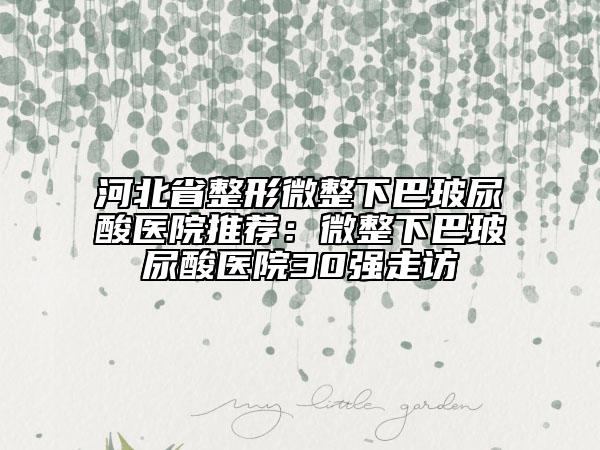 河北省整形微整下巴玻尿酸医院推荐：微整下巴玻尿酸医院30强走访