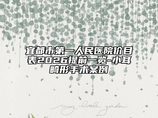 宜都市第一人民医院价目表2026提前一览-小耳畸形手术案例