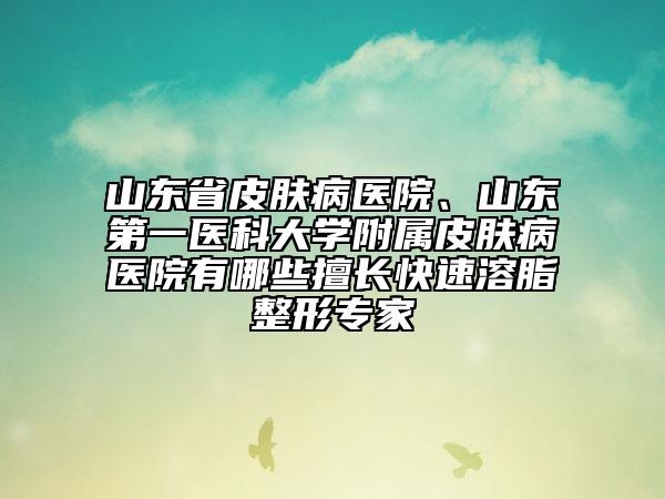 山东省皮肤病医院、山东第一医科大学附属皮肤病医院有哪些擅长快速溶脂整形专家