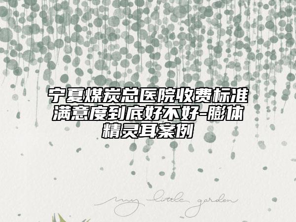 宁夏煤炭总医院收费标准满意度到底好不好-膨体精灵耳案例