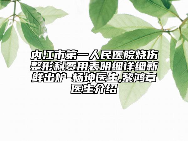 内江市第一人民医院烧伤整形科费用表明细详细新鲜出炉-杨坤医生,黎鸿章医生介绍