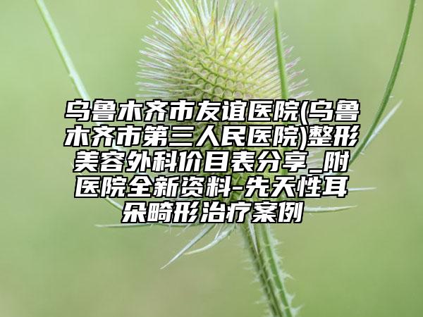 乌鲁木齐市友谊医院(乌鲁木齐市第三人民医院)整形美容外科价目表分享_附医院全新资料-先天性耳朵畸形治疗案例
