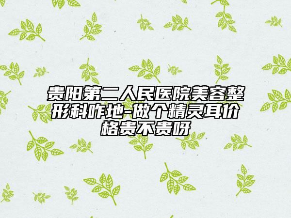 贵阳第二人民医院美容整形科咋地-做个精灵耳价格贵不贵呀