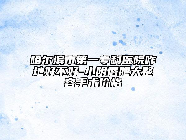 哈尔滨市第一专科医院咋地好不好-小阴唇肥大整容手术价格