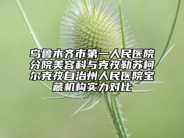 乌鲁木齐市第一人民医院分院美容科与克孜勒苏柯尔克孜自治州人民医院宝藏机构实力对比