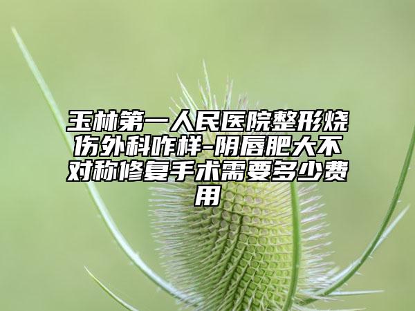 玉林第一人民医院整形烧伤外科咋样-阴唇肥大不对称修复手术需要多少费用